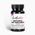 Natural Gut Wellness Powder